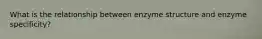 What is the relationship between enzyme structure and enzyme specificity?