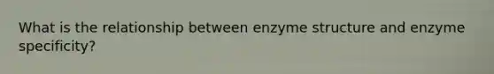 What is the relationship between enzyme structure and enzyme specificity?