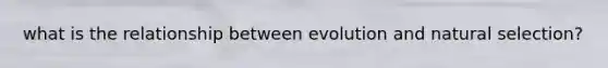 what is the relationship between evolution and natural selection?