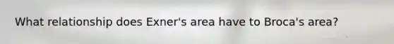 What relationship does Exner's area have to Broca's area?