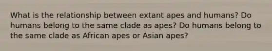 What is the relationship between extant apes and humans? Do humans belong to the same clade as apes? Do humans belong to the same clade as African apes or Asian apes?