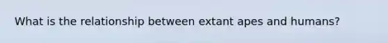 What is the relationship between extant apes and humans?