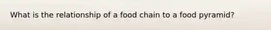 What is the relationship of a food chain to a food pyramid?