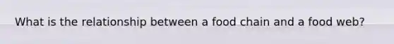 What is the relationship between a food chain and a food web?