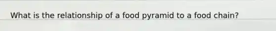 What is the relationship of a food pyramid to a food chain?