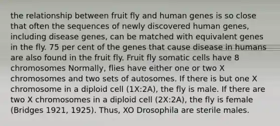 the relationship between fruit fly and human genes is so close that often the sequences of newly discovered human genes, including disease genes, can be matched with equivalent genes in the fly. 75 per cent of the genes that cause disease in humans are also found in the fruit fly. Fruit fly somatic cells have 8 chromosomes Normally, flies have either one or two X chromosomes and two sets of autosomes. If there is but one X chromosome in a diploid cell (1X:2A), the fly is male. If there are two X chromosomes in a diploid cell (2X:2A), the fly is female (Bridges 1921, 1925). Thus, XO Drosophila are sterile males.