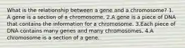 What is the relationship between a gene and a chromosome? 1. A gene is a section of a chromosome. 2.A gene is a piece of DNA that contains the information for a chromosome. 3.Each piece of DNA contains many genes and many chromosomes. 4.A chromosome is a section of a gene.