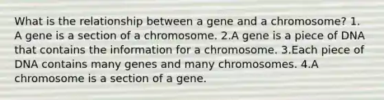 What is the relationship between a gene and a chromosome? 1. A gene is a section of a chromosome. 2.A gene is a piece of DNA that contains the information for a chromosome. 3.Each piece of DNA contains many genes and many chromosomes. 4.A chromosome is a section of a gene.