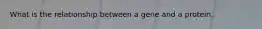 What is the relationship between a gene and a protein.