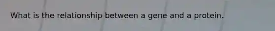 What is the relationship between a gene and a protein.