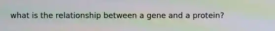 what is the relationship between a gene and a protein?