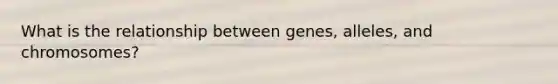 What is the relationship between genes, alleles, and chromosomes?