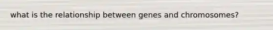 what is the relationship between genes and chromosomes?