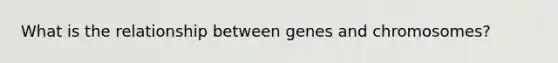 What is the relationship between genes and chromosomes?
