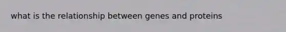 what is the relationship between genes and proteins