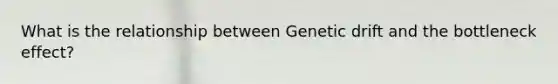 What is the relationship between Genetic drift and the bottleneck effect?