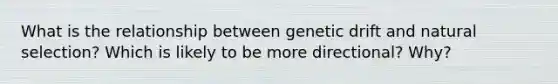 What is the relationship between genetic drift and natural selection? Which is likely to be more directional? Why?