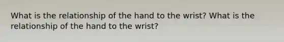 What is the relationship of the hand to the wrist? What is the relationship of the hand to the wrist?