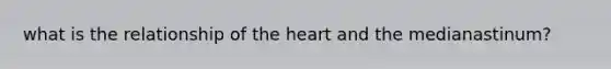 what is the relationship of the heart and the medianastinum?