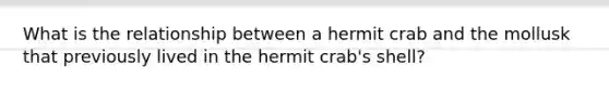 What is the relationship between a hermit crab and the mollusk that previously lived in the hermit crab's shell?