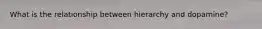 What is the relationship between hierarchy and dopamine?