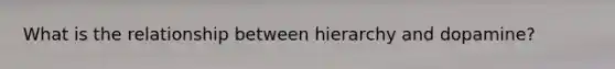 What is the relationship between hierarchy and dopamine?