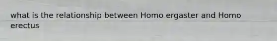 what is the relationship between Homo ergaster and Homo erectus