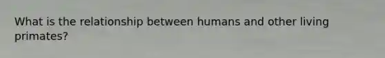 What is the relationship between humans and other living primates?