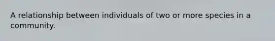 A relationship between individuals of two or more species in a community.