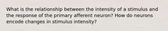 What is the relationship between the intensity of a stimulus and the response of the primary afferent neuron? How do neurons encode changes in stimulus intensity?