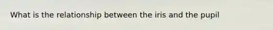What is the relationship between the iris and the pupil