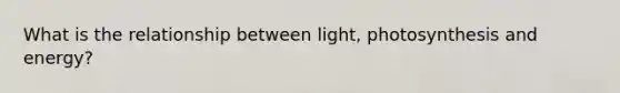 What is the relationship between light, photosynthesis and energy?