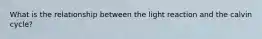What is the relationship between the light reaction and the calvin cycle?