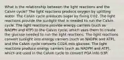 What is the relationship between the light reactions and the Calvin cycle? The light reactions produce oxygen by splitting water. The Calvin cycle produces sugar by fixing CO2. The light reactions provide the sunlight that is needed to run the Calvin cycle. The light reactions provide energy carriers (such as NADPH and ATP) to the Calvin cycle, which uses them to create the glucose needed to run the light reactions. The light reactions convert sunlight into energy carriers (such as NADPH and ATP), and the Calvin cycle converts CO2Â into glucose. The light reactions produce energy carriers (such as NADPH and ATP), which are used in the Calvin cycle to convert PGA into G3P.