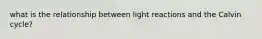 what is the relationship between light reactions and the Calvin cycle?