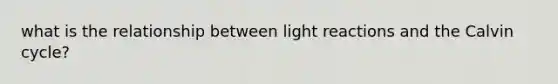 what is the relationship between <a href='https://www.questionai.com/knowledge/kSUoWrrvoC-light-reactions' class='anchor-knowledge'>light reactions</a> and the Calvin cycle?