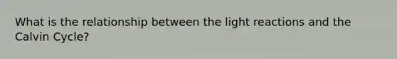 What is the relationship between the <a href='https://www.questionai.com/knowledge/kSUoWrrvoC-light-reactions' class='anchor-knowledge'>light reactions</a> and the Calvin Cycle?