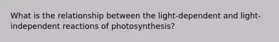 What is the relationship between the light-dependent and light-independent reactions of photosynthesis?