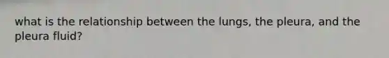 what is the relationship between the lungs, the pleura, and the pleura fluid?