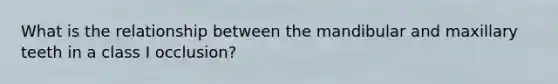 What is the relationship between the mandibular and maxillary teeth in a class I occlusion?