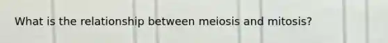 What is the relationship between meiosis and mitosis?