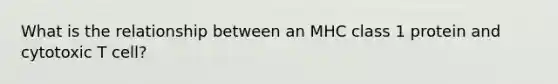 What is the relationship between an MHC class 1 protein and cytotoxic T cell?