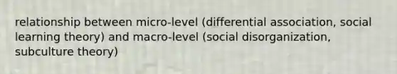 relationship between micro-level (differential association, social learning theory) and macro-level (social disorganization, subculture theory)