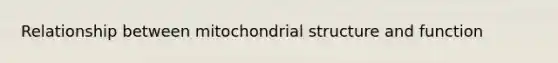 Relationship between mitochondrial structure and function