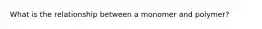 What is the relationship between a monomer and polymer?
