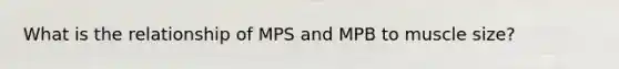 What is the relationship of MPS and MPB to muscle size?