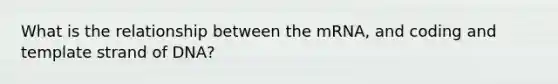 What is the relationship between the mRNA, and coding and template strand of DNA?