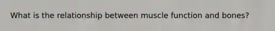 What is the relationship between muscle function and bones?