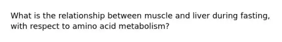 What is the relationship between muscle and liver during fasting, with respect to amino acid metabolism?