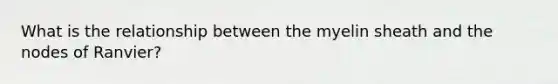 What is the relationship between the myelin sheath and the nodes of Ranvier?